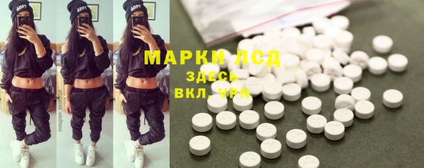 ECSTASY Богородицк