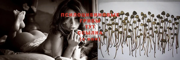 каннабис Богородск