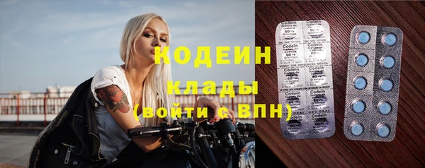 эйфоретик Бородино