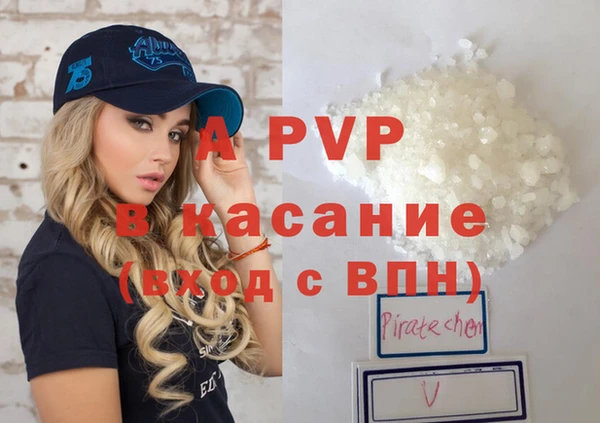 ECSTASY Богородицк