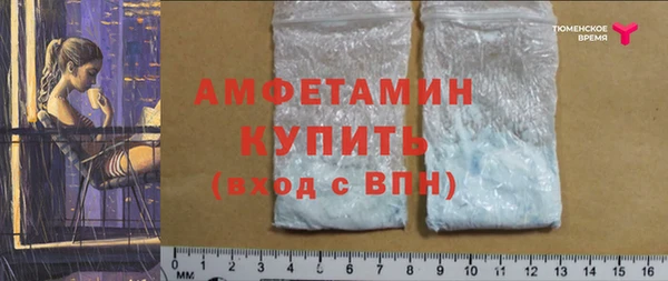 ECSTASY Богородицк