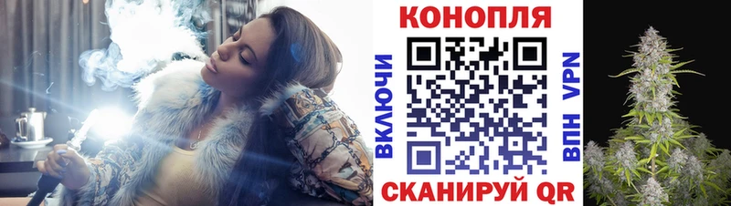 Канабис гибрид Приволжск